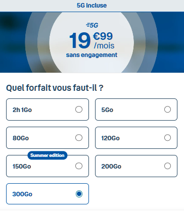 Forfait B&You 300 Go