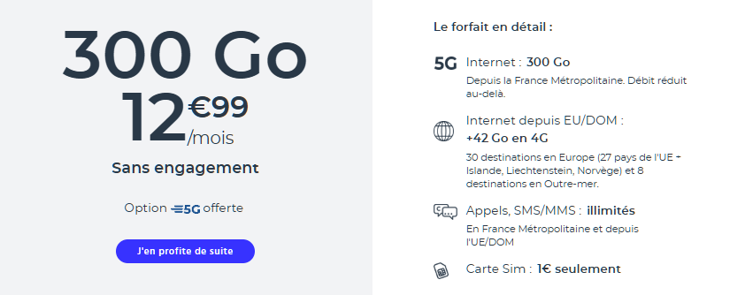 Forfait 300 Go Cdiscount