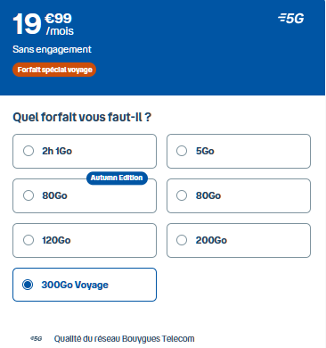 Forfait sans engagement B&You 300 Go